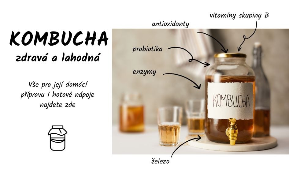 Kombucha - zdravá a lahodná - vše pro její přípravu i hotové nápoje najdete zde