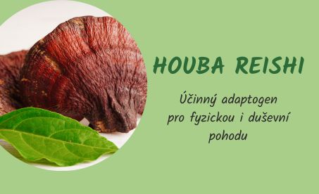 Houba Reishi - účinný adaptogen pro fyzickou i duševní pohodu
