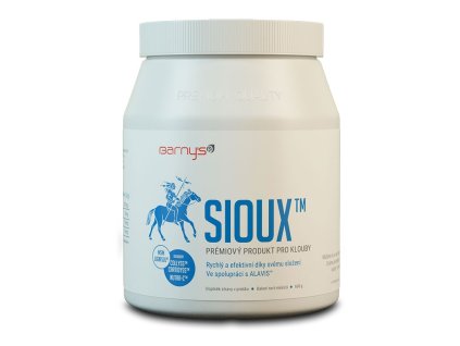 Barny´s Sioux MSM 600 g