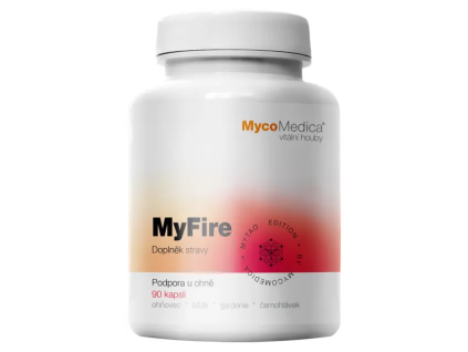myfire kopie.1646628311