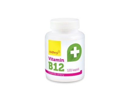 kapsle vitamin B12 120 ks wolfberry