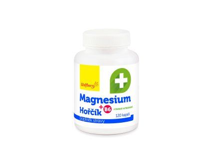 Magnesium 120 ks wolfberry