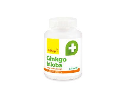ginkgo biloba 120 ks wolfberry