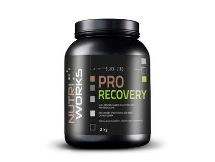 Pro Recovery 2 kg (Varianta malina)