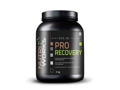 Pro Recovery 2kg čokoláda