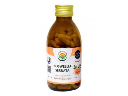 Boswellia serrata - kadidlovník kapsle (Balení 120 ks)