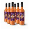 Himalyo BIO Rakytník Juice 100% (šťáva z plodů rakytníku) 6x750 ml