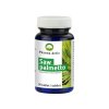 saw palmetto 50 tablet