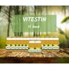 Vitestin 390 ml 15 kusů