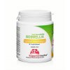 Superionherbs Boswellia Phytosome® Power Complex 90 kapslí