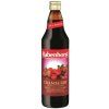 92719 rabenhorst brusinkova stava 750 ml