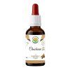 Chuchuasi AF tinktura (Balení 30 ml)