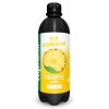 TOP BIO Kombucha Ananas 500 ml