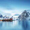 pictureprovider.aspx?z=300&path=57005%2F4.Arctic