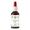 Hermanek AF 50ml PS custom