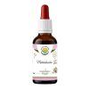Materidouska AF 50ml PS custom