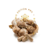 coprinus hower kopie.1646628311