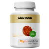 agaricus vypis 2.1646628311