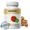 agaricus detail s razitkem 3.1646628311