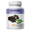 polyporus vypis 2.1646628311