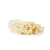 enoki.1646628311