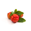 acerola 2.1646628311