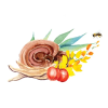 reishi medo.1646628311