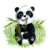 panda.1646628311