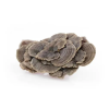 MycoMedica Coriolus 50 % 90 kapslí