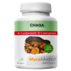 chaga 50 vypis 2.1646628311