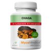 chaga 50 vypis 2.1646628311