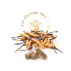 cordyceps hower kopie.1646628311