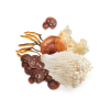 MycoMedica MycoGummies 60 ks