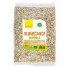 slunecnicove seminko wolfberry bio 500 g