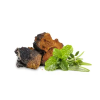 chaga susena 1.1646628311