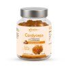 cordyceps