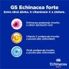 175785 4 gs echinacea forte 600 mg xxl 90 20 tbl