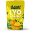 allnature ananas suseny mrazem 100 g