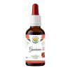 Guarana AF tinktura (Balení 30 ml)