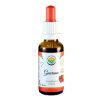 Guarana AF tinktura (Balení 30 ml)