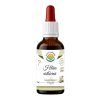 Hlíva ústřičná AF tinktura (Balení 30 ml)