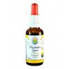 Rozchodnice růžová - rhodiola AF tinktura (Balení 30 ml)