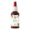 Guduchi AF 50ml PS custom