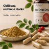 allnature elements berberin 500 mg 60 cps