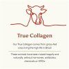 pictureprovider.aspx?z=300&path=25501%2F5 ancient brave true collagen