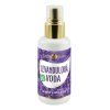 Purity Vision BIO Levandulová voda 100 ml
