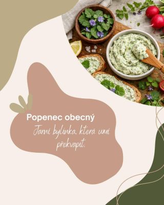 Popenec není magie. Jen obyčejná bylinka, která se dá normálně zařadit do jídla. Využití: pomazánka, salát, bylinkové...