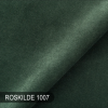 Roskilde 1007