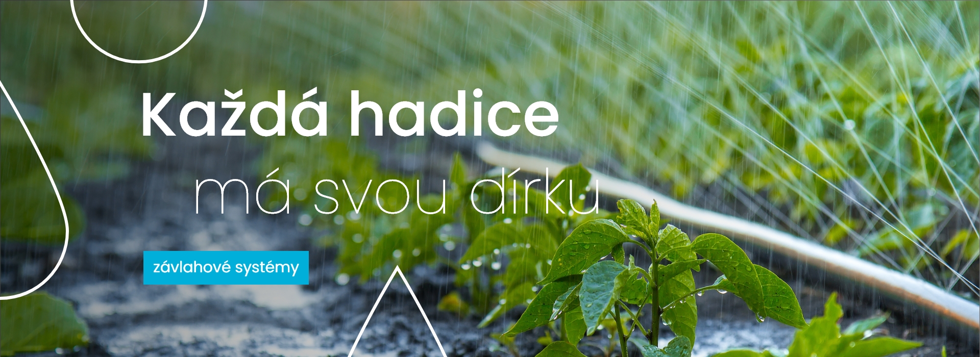 zavlažování