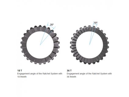 Zubatky DT Swiss 36T SL - upgrade kit 1